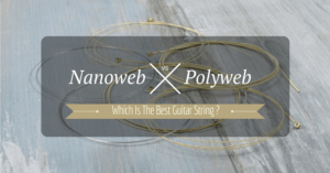 nanoweb vs polyweb
